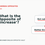 What Is the Opposite of ‘increase’?