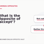 What Is the Opposite of ‘accept’?