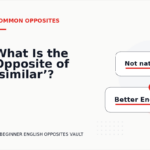 What Is the Opposite of ‘similar’?