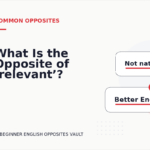 What Is the Opposite of ‘relevant’?