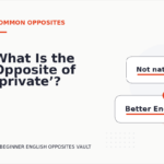 What Is the Opposite of ‘private’?